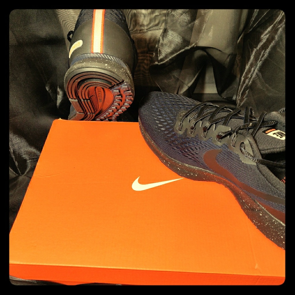 Nike Air Zoom Pegasus's 34 shield